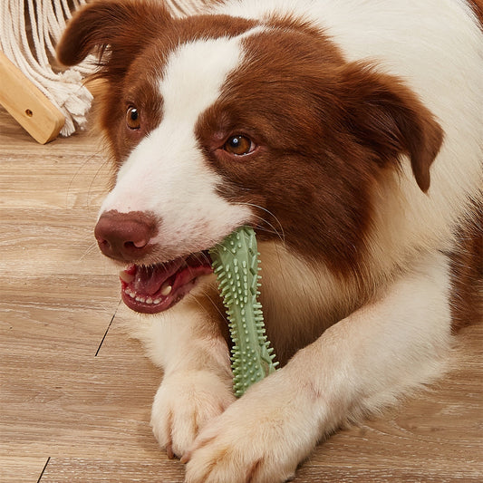 Chew Toys For Dog Teeth Cleaning - Barkinggooddeals