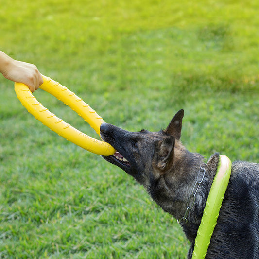 Pet Agility Toy - Barkinggooddeals